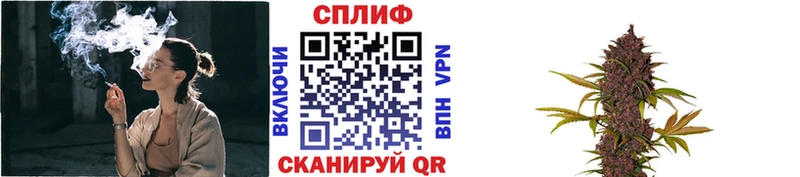 Где купить наркоту Вязники Галлюциногенные грибы Канабис КОКАИН