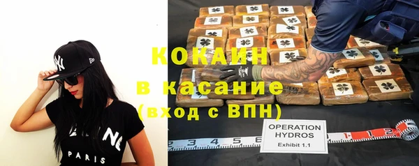 молекула духа Белокуриха