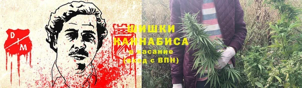 молекула духа Белокуриха