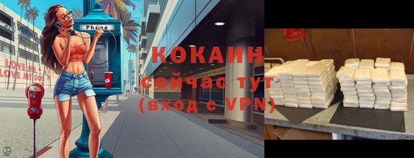 молекула духа Белокуриха