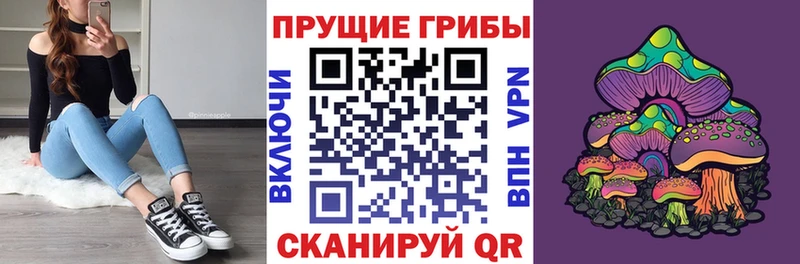 Псилоцибиновые грибы MAGIC MUSHROOMS Вязники