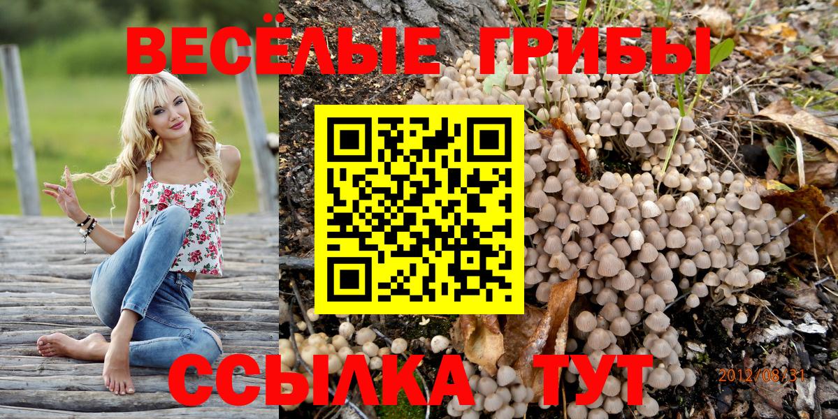 Вязники  Галлюциногенные грибы мухоморы  Вход с VPN 